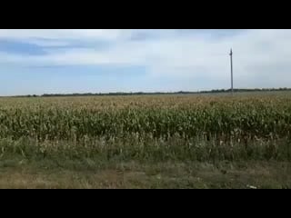 Rostov on don 20200724 2 mp4