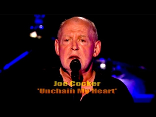 Joe cocker «unchain my heart» (2013, live)