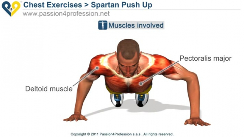 Spartan porn video – Spartan push up ( 300 workout )