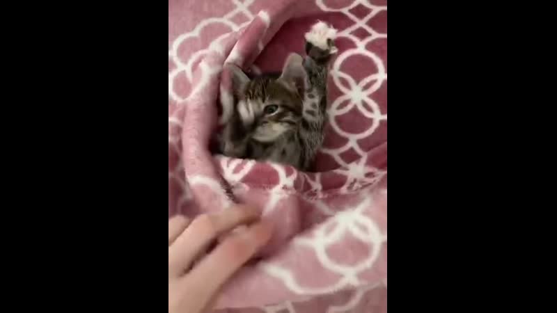 Доброе утро,людишки