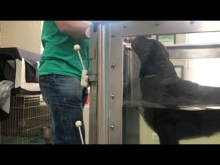 Водная гимнастика