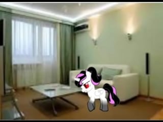 Poni smeshnoe video mp4