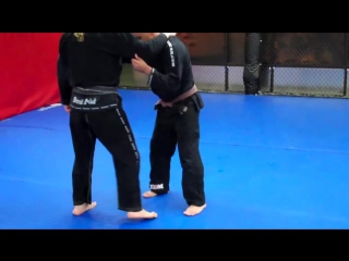 Setting up foot sweeps (ashi harai) throws for judo bjj ironside mma