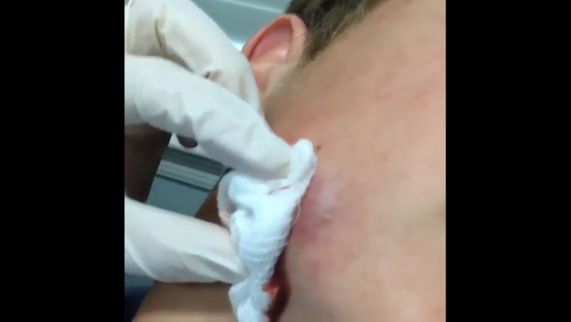 Давненько не было мерзостей