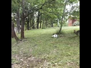 На природе, в тишине