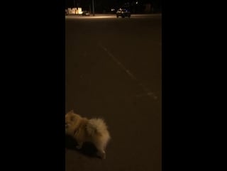 Instagram video by tatiana volosozhar •