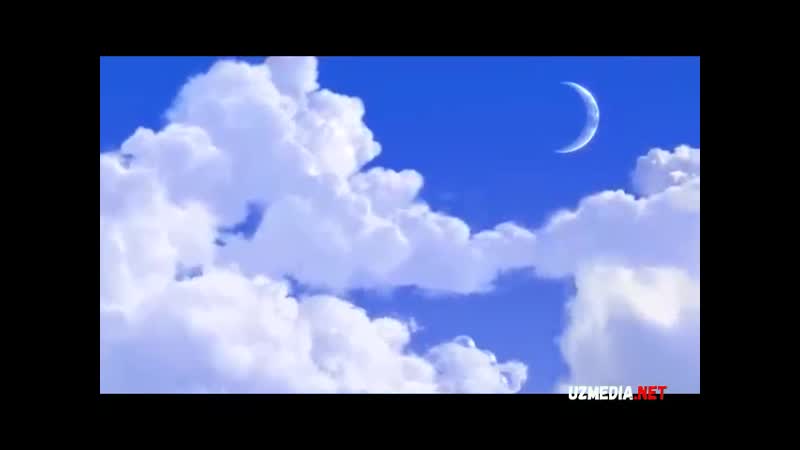 Madagaskarda yangi yil multfilm uzbek tilida