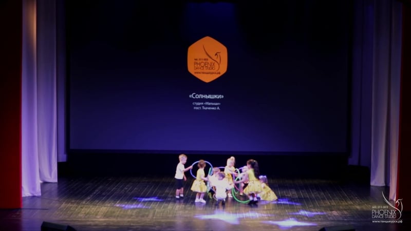 Phoenix ds 16 // солнышки