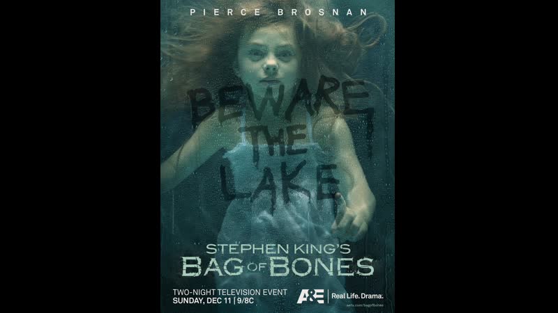 Мешок с костями (2011 год)