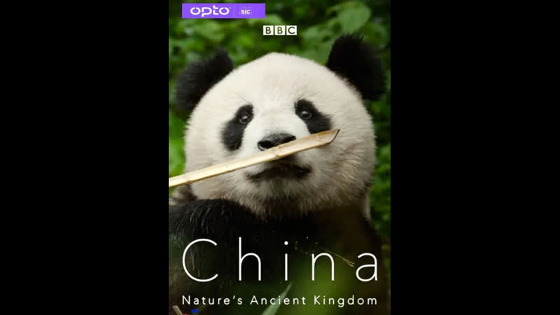 Китай древнее царство природы china nature's ancient kingdom серия 2