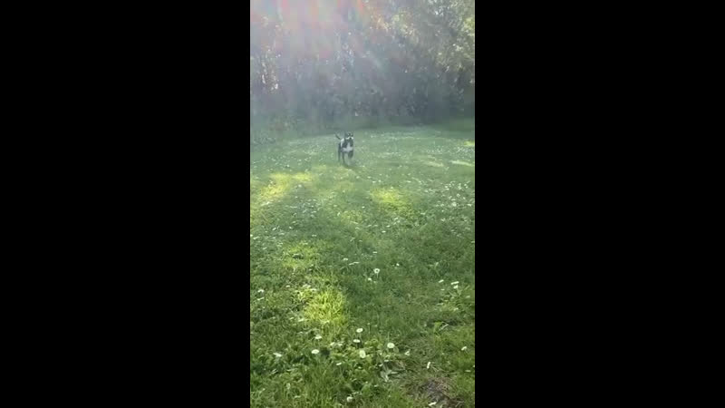 Бодрого субботнего утра, страна!