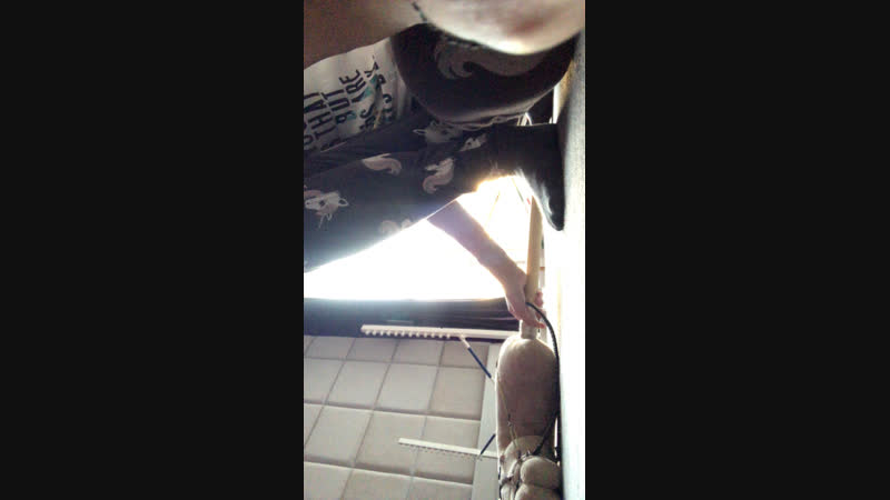 Live kht equestile | хоббихорсинг