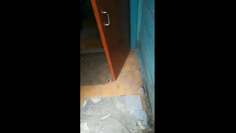 Скандальные кириши