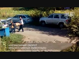 Мусора закрыли "доктора айболита"