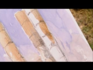 Alwyn crawshaw's watercolour cruise (part i) 2000 chapter 2 amman