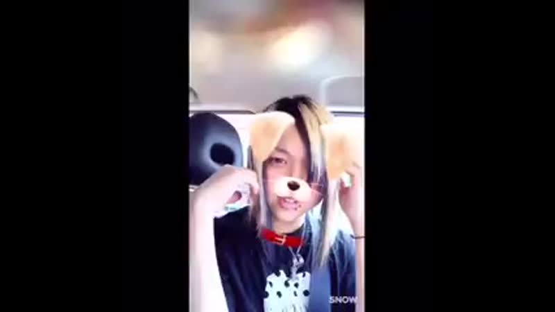Momo sama (meme, usagisakimi momosama) ex, ex zerocre, futaba damila & tamaki ex, kagekui