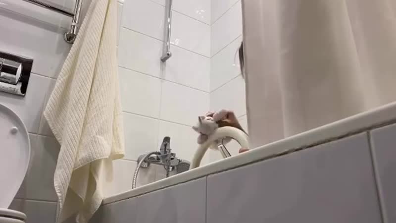 Тома жданова