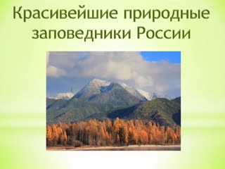 В мире заповедной природы