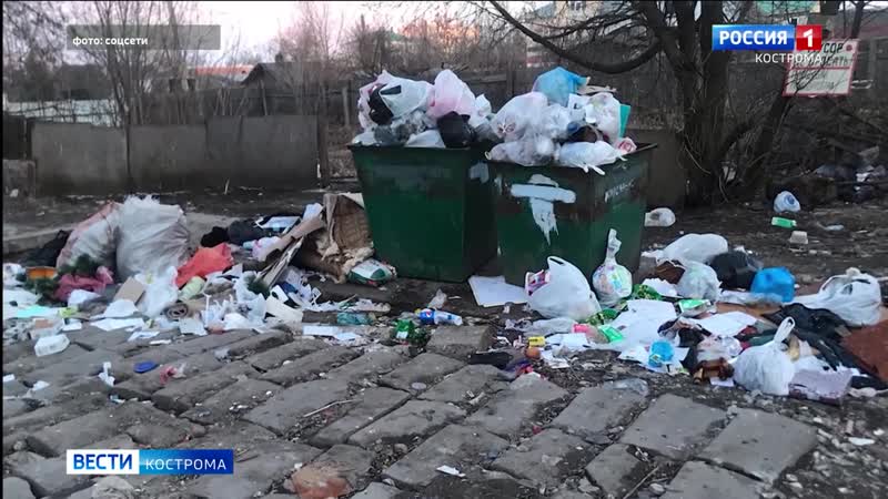 Костромичи наполняют мусорные контейнеры в «новогоднем» режиме