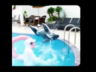 Haruto pushed jaehyuk to the pool