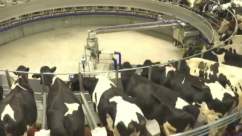 Инновационные технологии в сельском хозяйстве