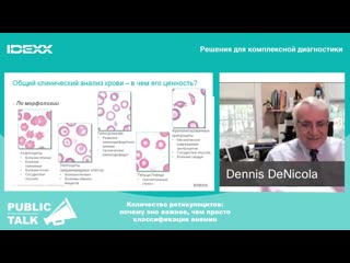 Public talk с деннисом дениколой idexx