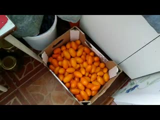 Vid 20200909 120336 mp4