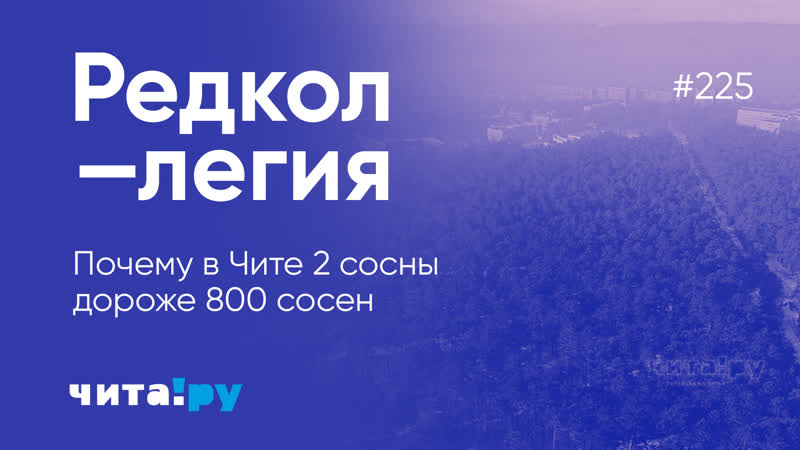 Невероятно, но факт в чите две сосны дороже 800 сосен