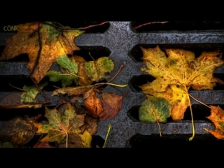 Natalie cole – ”autumn leaves” ( joseph kosma, jacques prévert)