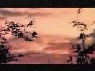 Da lench mob guerillas in tha mist