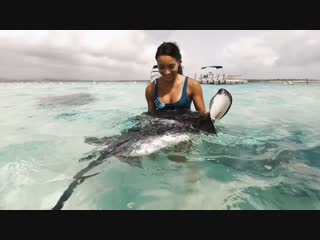 Goxel v soner kırmızıgül red rose (original mix) | mx77 (house music)