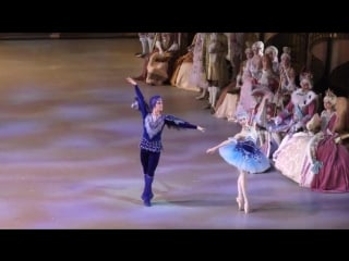 , 12 bluebird florine, variations, coda (act iii), lilia berezhnova oleksy skalyun as florine bluebird