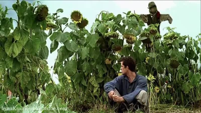 Надежда кадышева и антон зацепин широка река