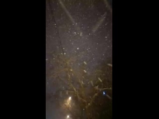 Vid 20200313 210236 mp4