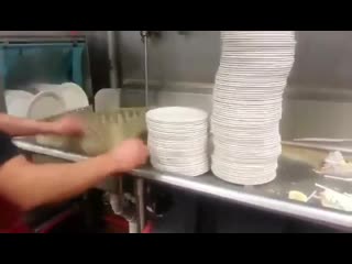 The way that this dishwasher flawlessly 'pours' plates into a tray