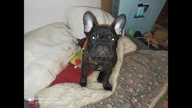 Играем с евой