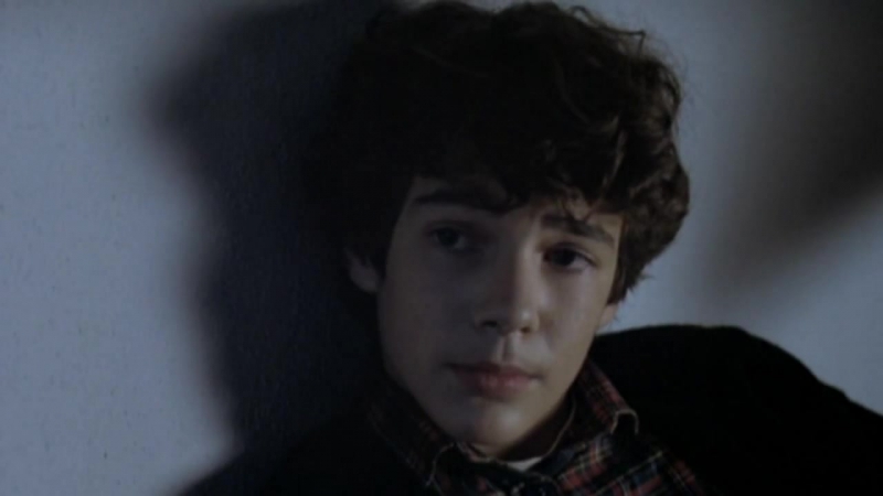 Видео бенни / benny's video 1992