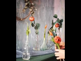 Kvartira no8 video 1589271864687 mp4