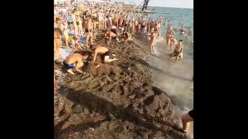 В адлере мужчинам предложили на скорость закопать своих жен