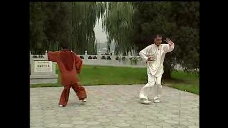 Ченьши багуа чжан с лю цзинчжу (1 4) часть 2