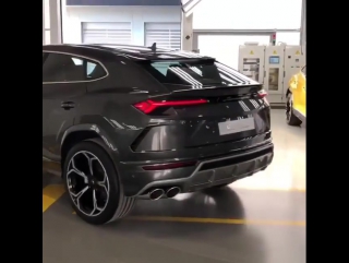 U r u s lamborghini urus