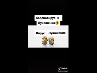 Видео от винегрет