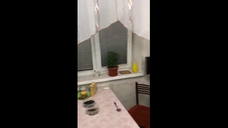 Жена ушла делать ногти и попросила мужа сварить борщ 😂