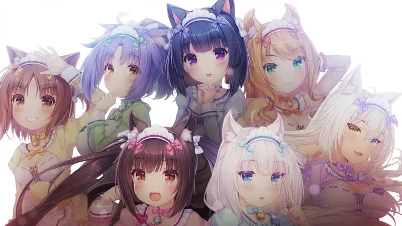 【nintendo switch】「ネコぱらvol 4 ネコとパティシェのノエル」プロモーションムービー, nekopara vol 4 pv