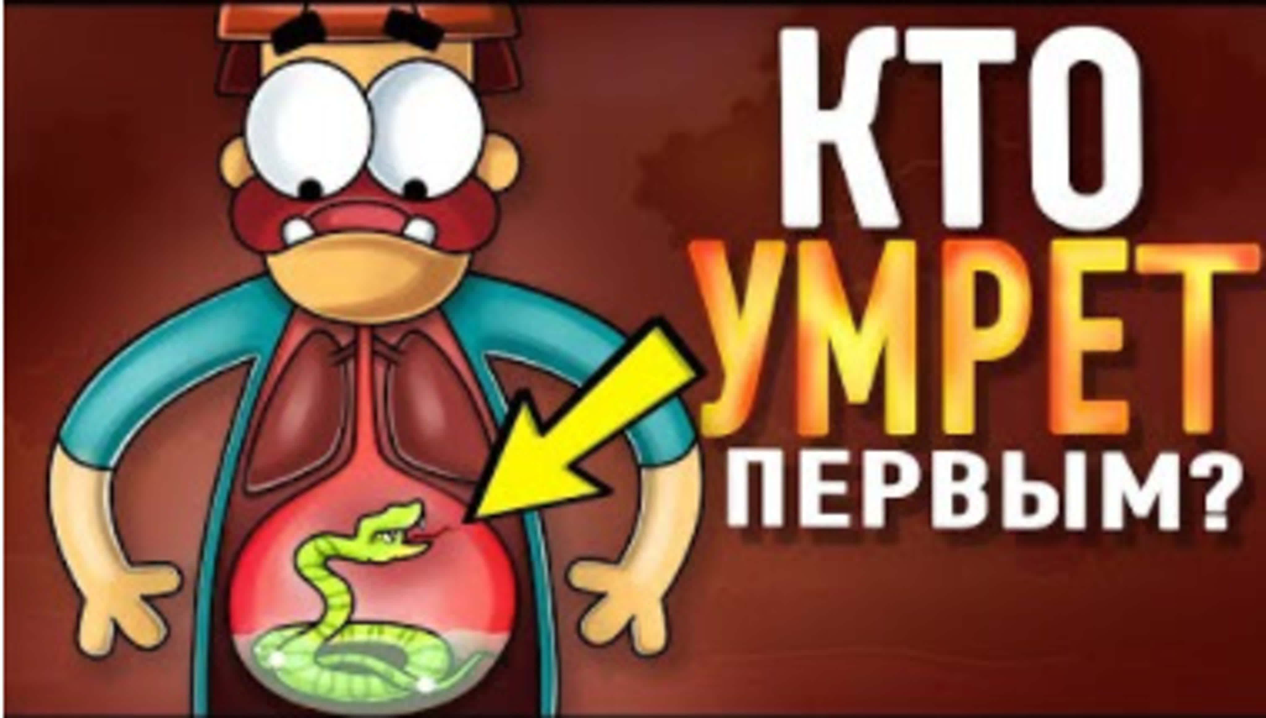 порно эи арнольд Эй, Арнольд, пропусти Санту! 8 неочевидных рождественских эпизодов и  спешелов | Кинопоиск | Дзен