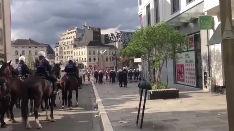 Жители нескольких районов брюсселя подержали протесты в сша