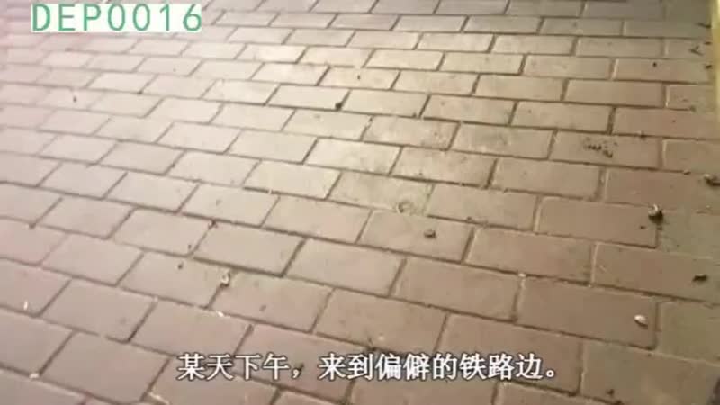 Trung niên gạ trai thẳng 1