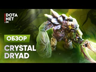 Crystal dryad | tiny | dota 2