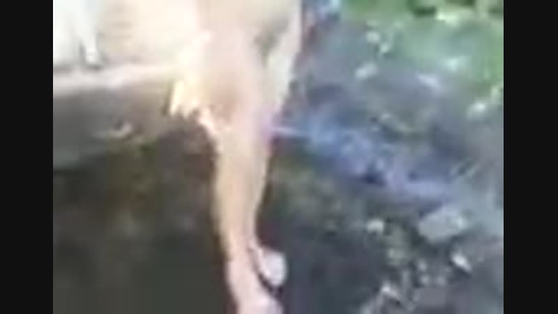 Заехали в лесок оторваться