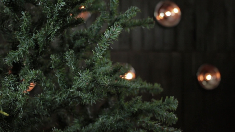 Штучна vs натуральна ялинка у кадці сьогодні ми спробуємо обрати новорічну красуню! 🎄